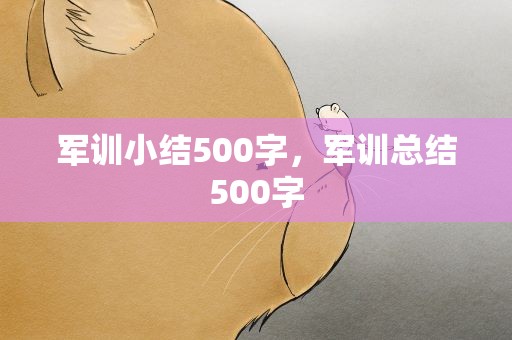 军训小结500字，军训总结500字