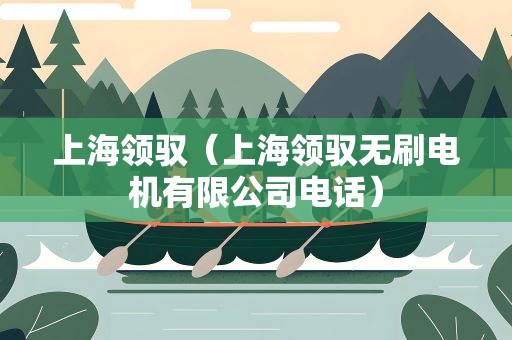 上海领驭（上海领驭无刷电机有限公司电话）