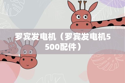 罗宾发电机（罗宾发电机5500配件）