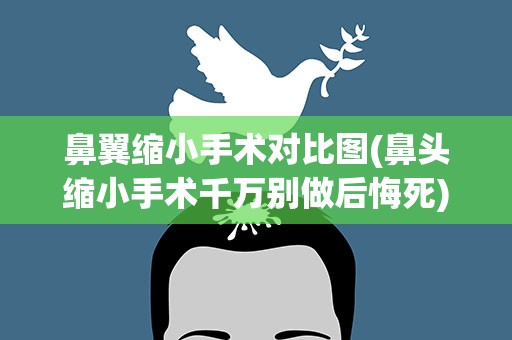 鼻翼缩小手术对比图(鼻头缩小手术千万别做后悔死)
