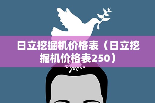 日立挖掘机价格表（日立挖掘机价格表250）