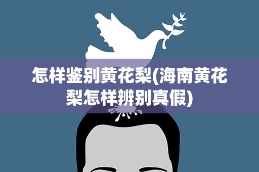 怎样鉴别黄花梨(海南黄花梨怎样辨别真假)