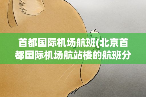 首都国际机场航班(北京首都国际机场航站楼的航班分布)