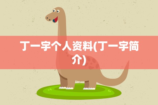丁一宇个人资料(丁一宇简介)