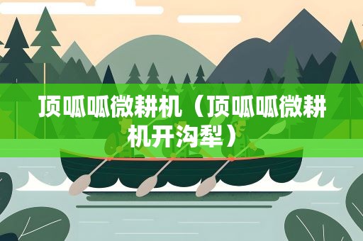 顶呱呱微耕机（顶呱呱微耕机开沟犁）
