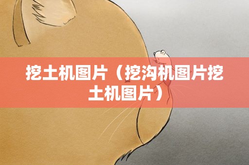 挖土机图片（挖沟机图片挖土机图片）