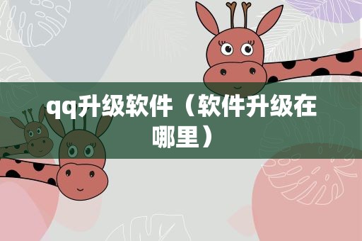 qq升级软件（软件升级在哪里）