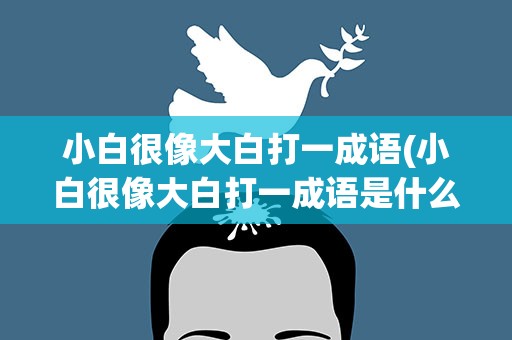 小白很像大白打一成语(小白很像大白打一成语是什么)