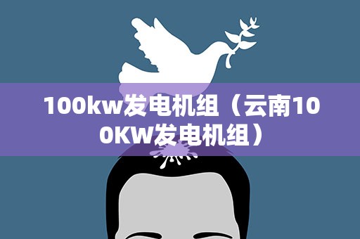 100kw发电机组（云南100KW发电机组）
