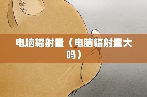 电脑辐射量（电脑辐射量大吗）