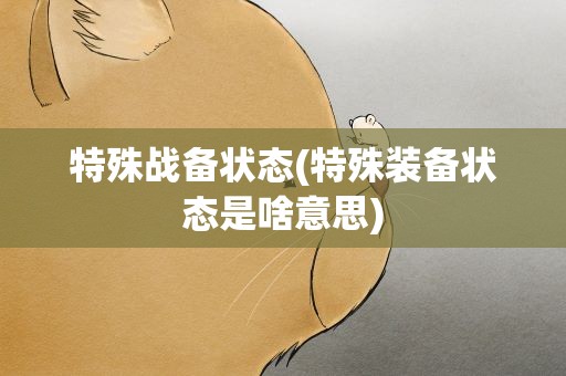 特殊战备状态(特殊装备状态是啥意思)