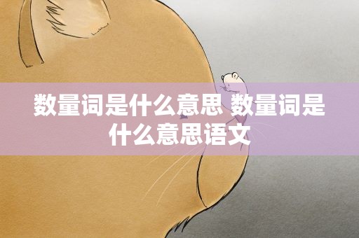 数量词是什么意思 数量词是什么意思语文