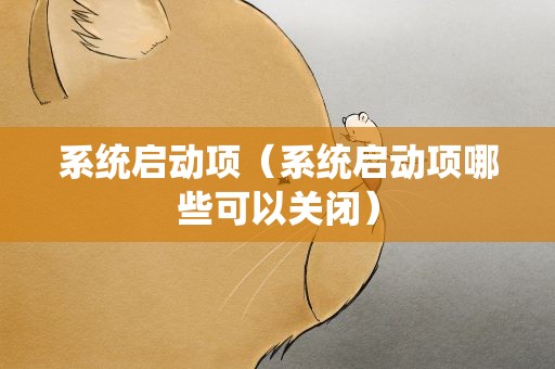 系统启动项（系统启动项哪些可以关闭）