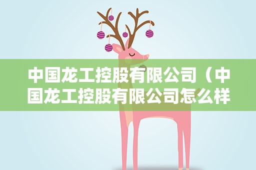 中国龙工控股有限公司（中国龙工控股有限公司怎么样）