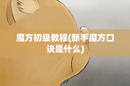 魔方初级教程(新手魔方口诀是什么)