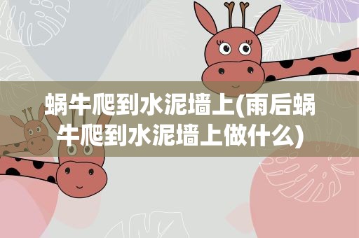 蜗牛爬到水泥墙上(雨后蜗牛爬到水泥墙上做什么)