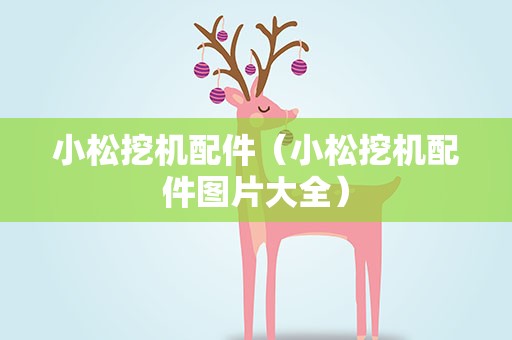 小松挖机配件（小松挖机配件图片大全）