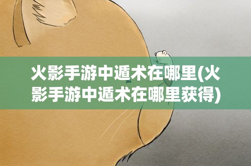 火影手游中遁术在哪里(火影手游中遁术在哪里获得)
