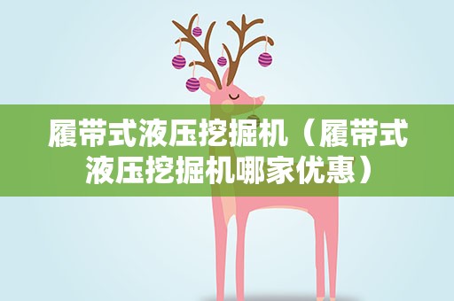 履带式液压挖掘机（履带式液压挖掘机哪家优惠）