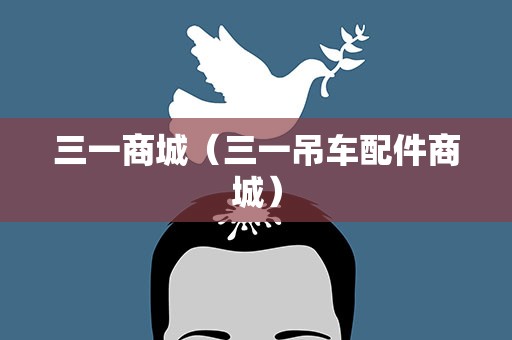 三一商城（三一吊车配件商城）