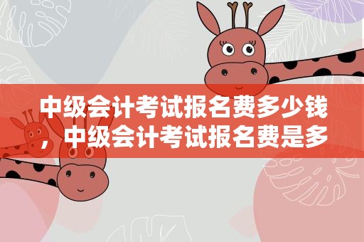 中级会计考试报名费多少钱，中级会计考试报名费是多少