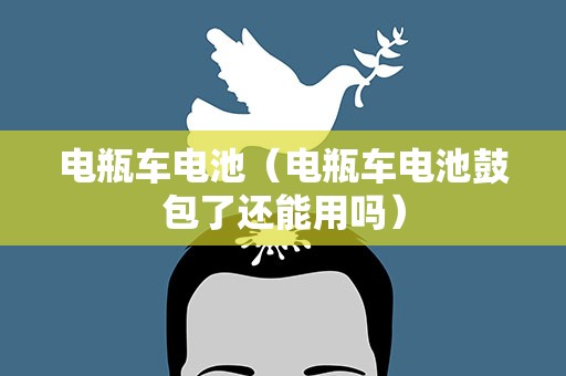电瓶车电池（电瓶车电池鼓包了还能用吗）
