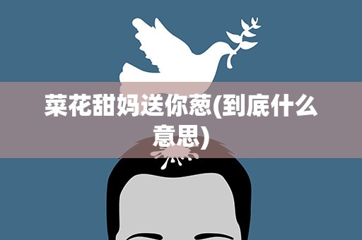 菜花甜妈送你葱(到底什么意思)