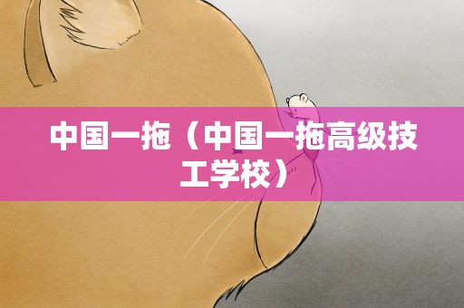 中国一拖（中国一拖高级技工学校）