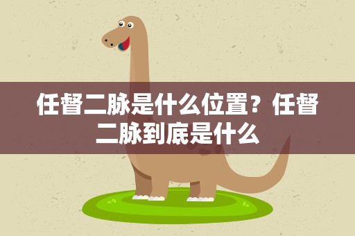 任督二脉是什么位置？任督二脉到底是什么
