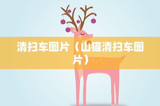 清扫车图片（山猫清扫车图片）