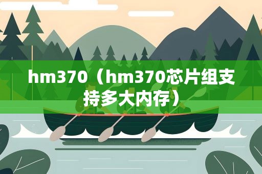 hm370（hm370芯片组支持多大内存）