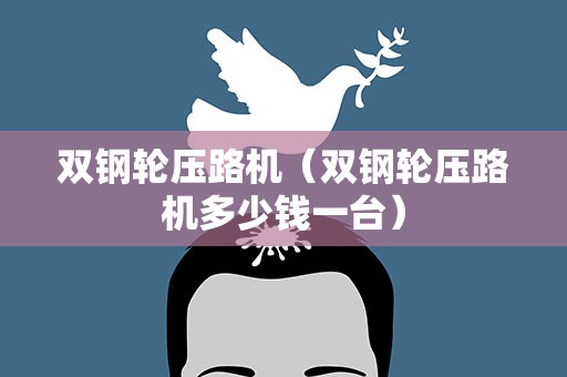 双钢轮压路机（双钢轮压路机多少钱一台）