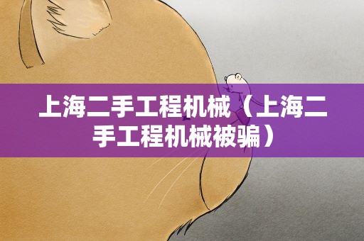 上海二手工程机械（上海二手工程机械被骗）