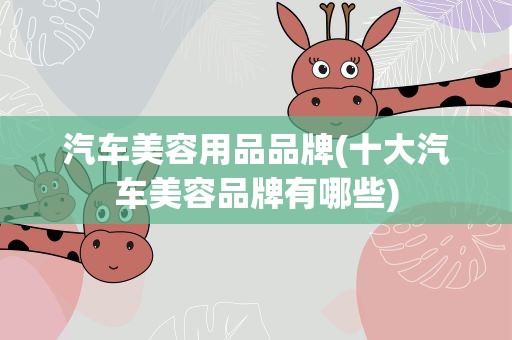 汽车美容用品品牌(十大汽车美容品牌有哪些)