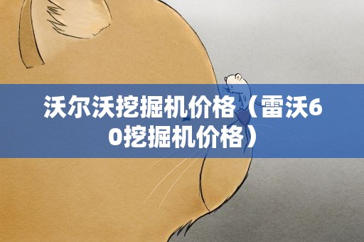 沃尔沃挖掘机价格（雷沃60挖掘机价格）