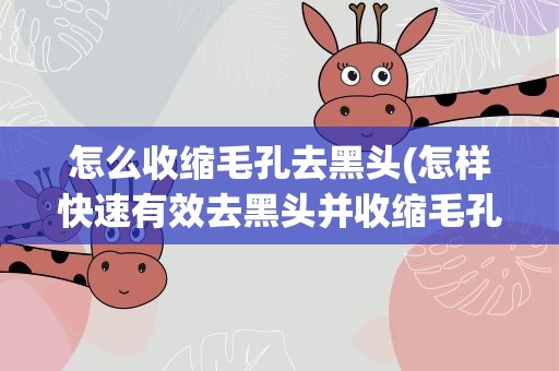 怎么收缩毛孔去黑头(怎样快速有效去黑头并收缩毛孔!)
