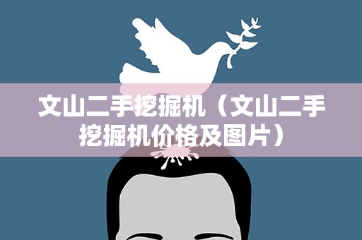 文山二手挖掘机（文山二手挖掘机价格及图片）