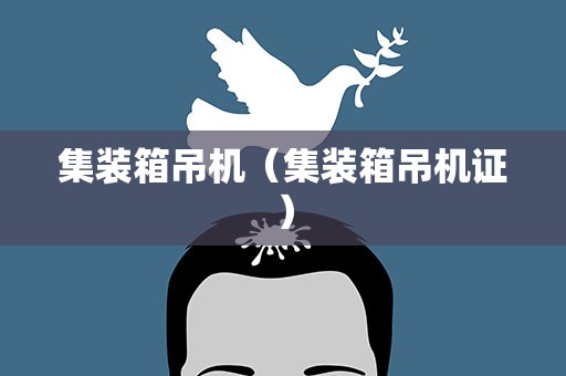 集装箱吊机（集装箱吊机证）