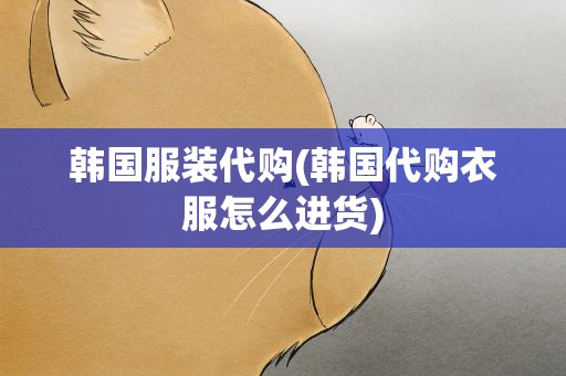 韩国服装代购(韩国代购衣服怎么进货)