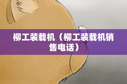 柳工装载机（柳工装载机销售电话）