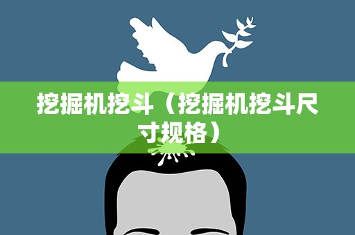 挖掘机挖斗（挖掘机挖斗尺寸规格）