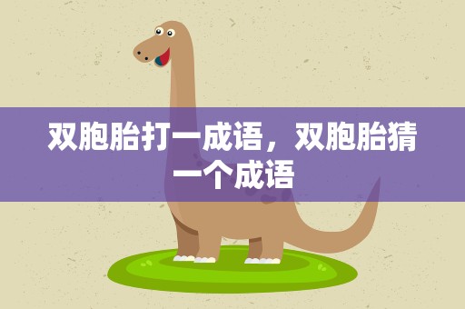 双胞胎打一成语，双胞胎猜一个成语