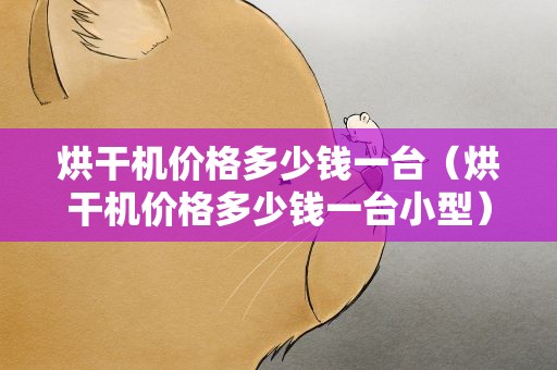 烘干机价格多少钱一台（烘干机价格多少钱一台小型）