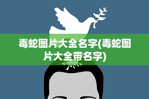 毒蛇图片大全名字(毒蛇图片大全带名字)