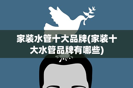 家装水管十大品牌(家装十大水管品牌有哪些)