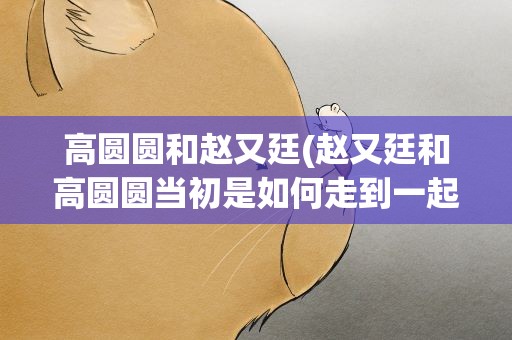 高圆圆和赵又廷(赵又廷和高圆圆当初是如何走到一起的)