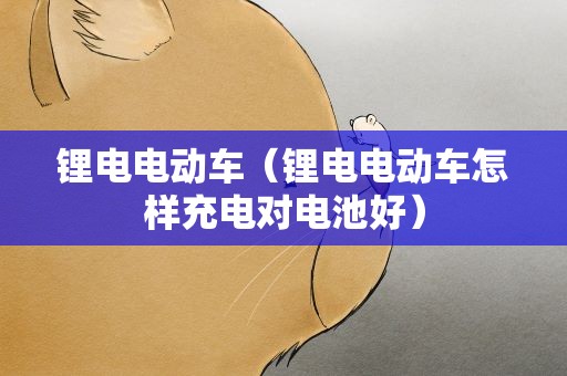 锂电电动车（锂电电动车怎样充电对电池好）
