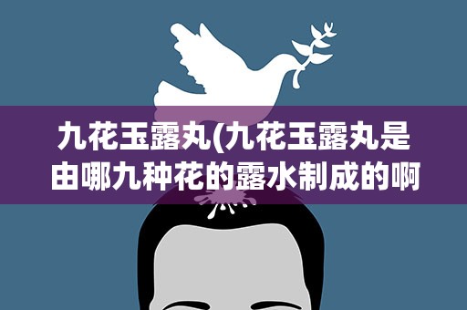 九花玉露丸(九花玉露丸是由哪九种花的露水制成的啊)