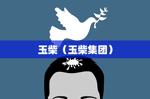 玉柴（玉柴集团）