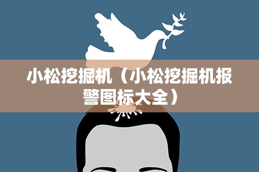 小松挖掘机（小松挖掘机报警图标大全）